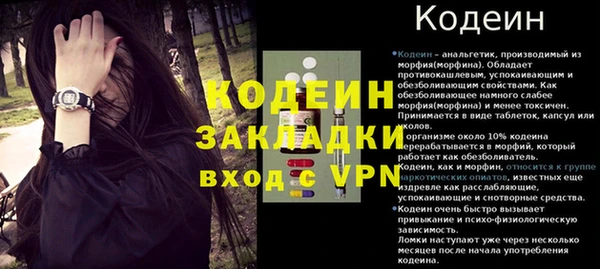 гидра Арсеньев