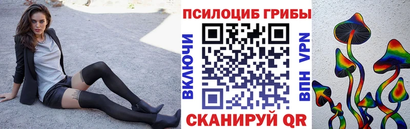 Псилоцибиновые грибы Cubensis  Пущино 